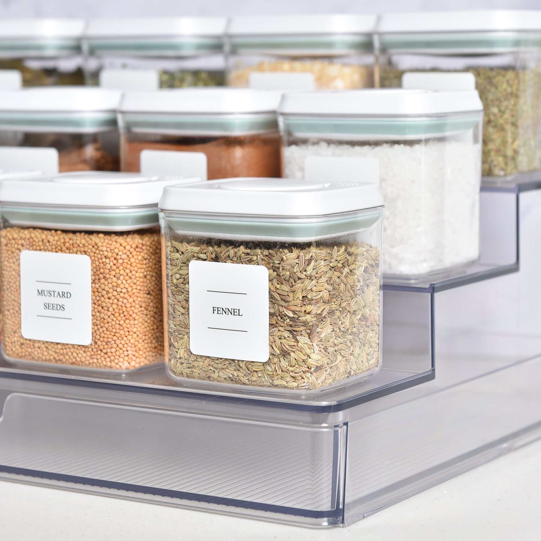 Push Top Spice Container 320ml - White Lid
