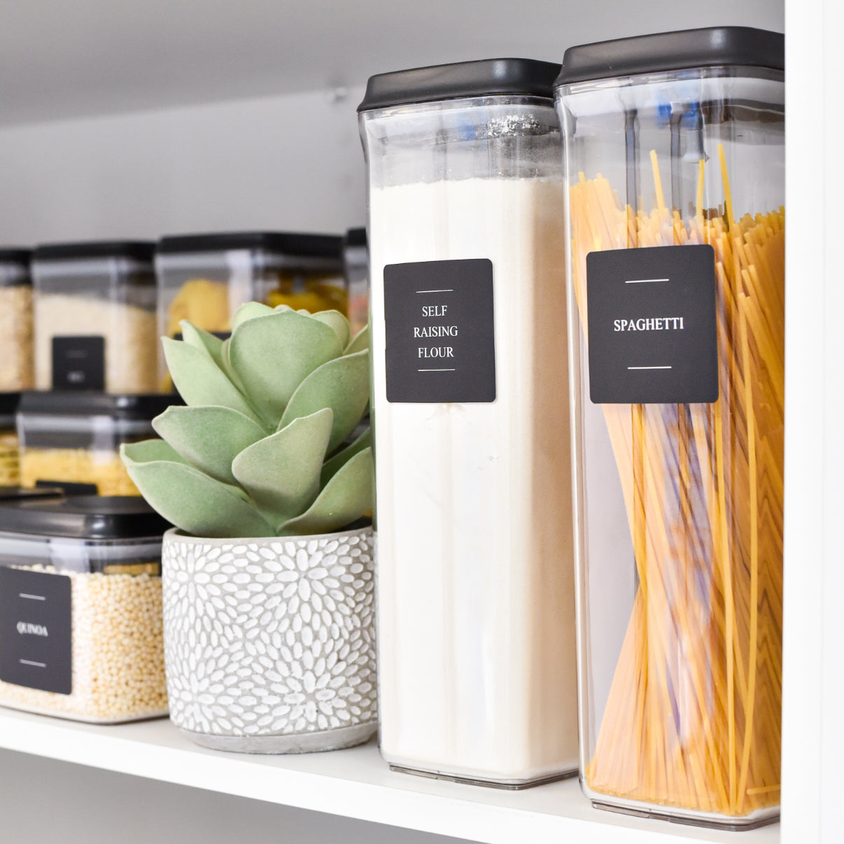 Push Top Pantry Container 3.2L - Black Lid